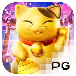 advancingyourphotography: Lucky Neko